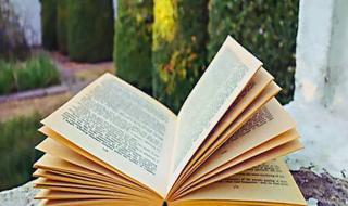 小木虫考研调剂信息