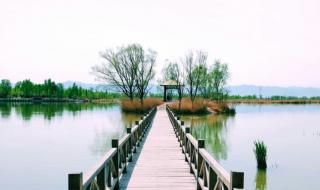 野鸭湖湿地公园