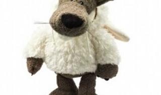 送给男友的生日礼物 送给男友的生日礼物