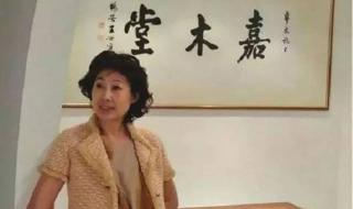 中国四小龙 中国四小龙