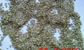 邮政托运价格表 邮政托运价格表