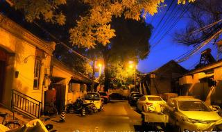 物竞天择适者生存