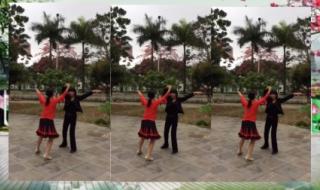 沈阳啊沈阳我的故乡 沈阳啊沈阳我的故乡